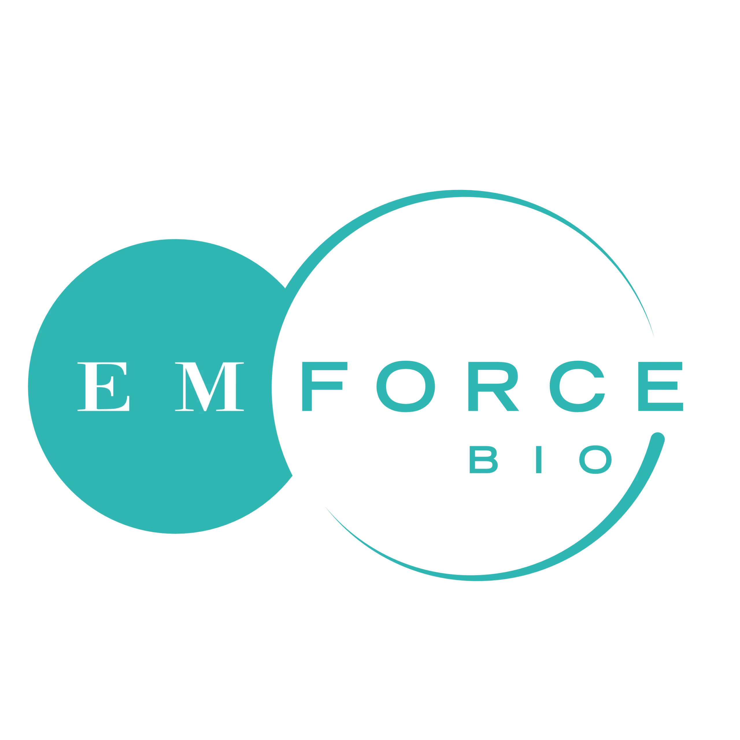 Emforce  Logo